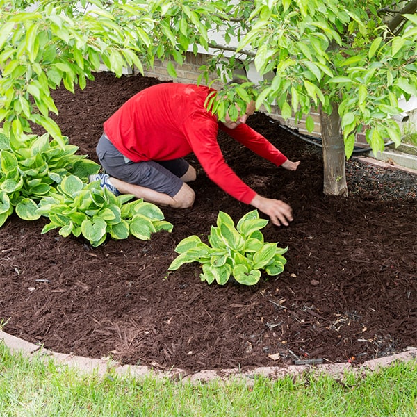 we offer a variety of mulch options for installation, including shredded hardwood, pine straw, and rubber mulch